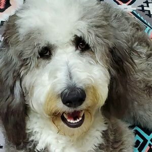 Meet your Posher, Pamela